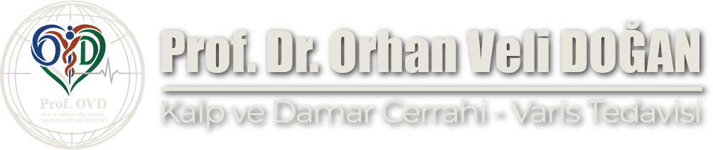 Prof Orhan VELİ DOĞAN Logo